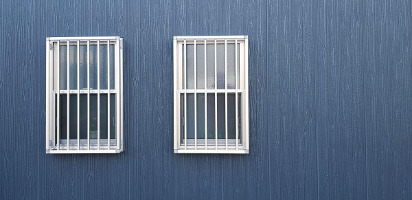 Steel Window Replacement in Ruskin