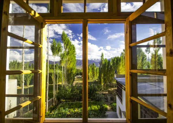 Wood Window Replacement in Ruskin
